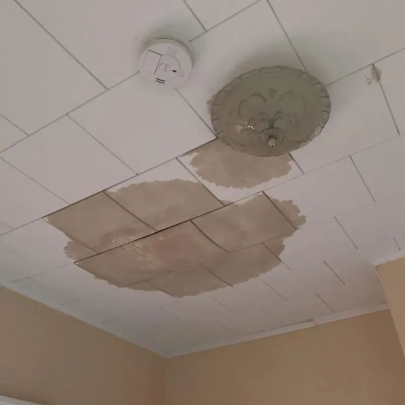 Ceiling Water Damage Repair in Flat River, MO