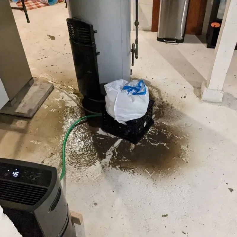 Sewage Backup Cleanup Service in Flat River, MO
